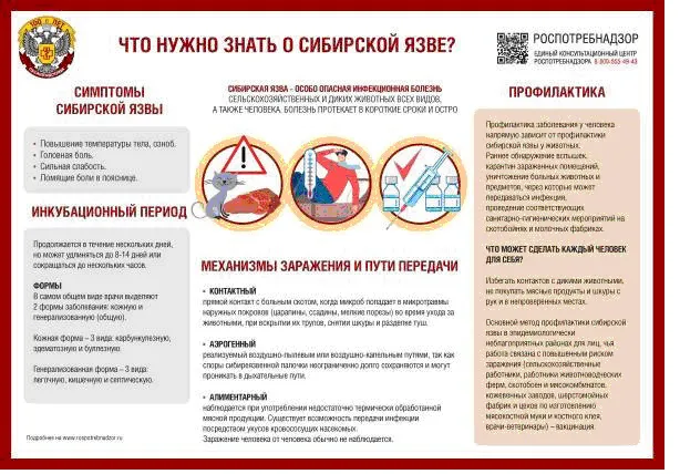 Сибирская язва - особо опасная инфекционная болезнь сельскохозяйственных и диких животных, а также человека